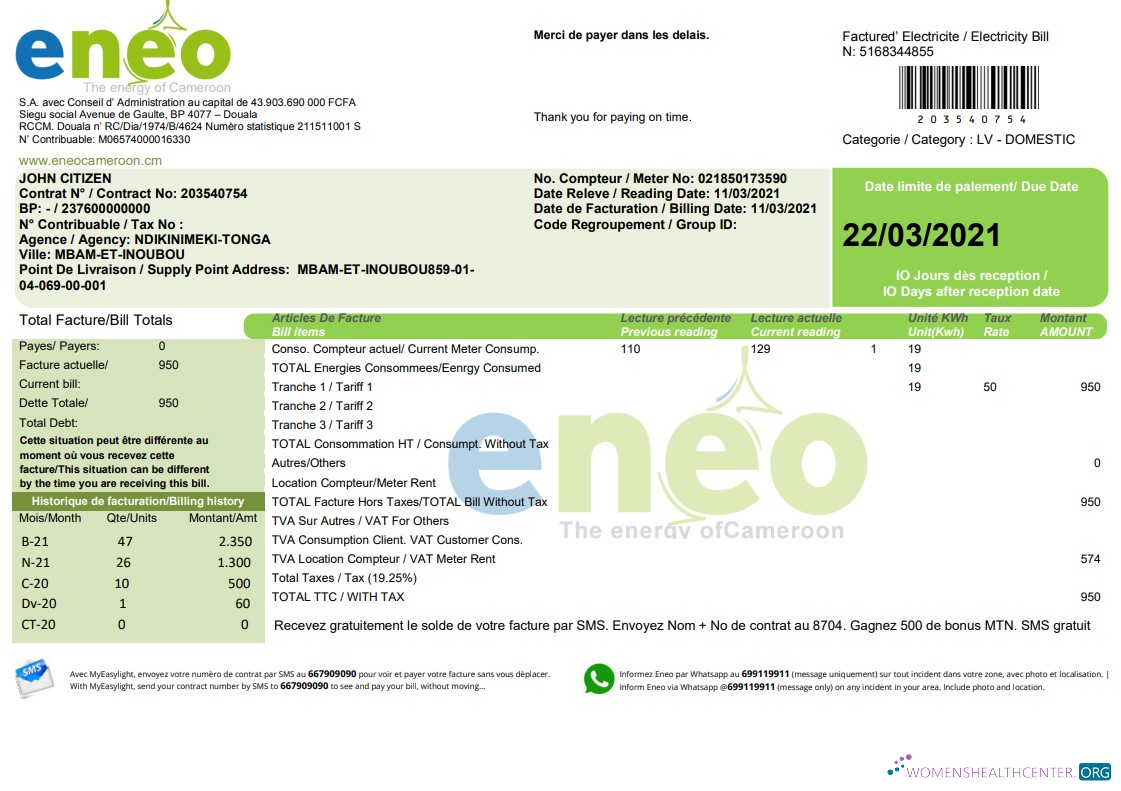 download Cameroon ENEO electricity utility bill template in Word and PDF format (current version) PDF template